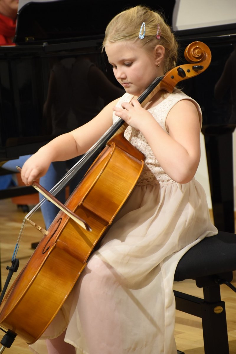 Koncert sólistů